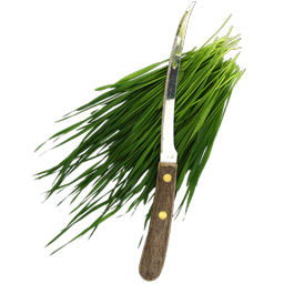 Fresh Cut Wheatgrass Icon 256x256 png